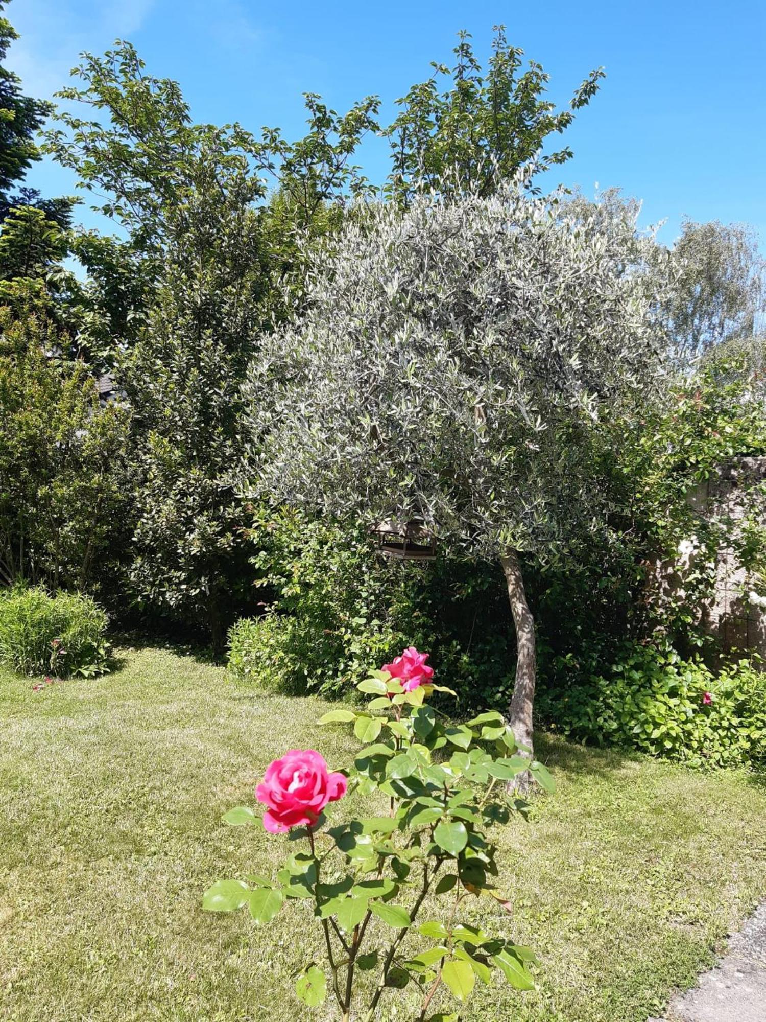 Rest At Last Genève